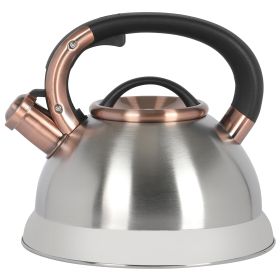 Mr. Coffee Flintshire 2.2 Quart Stainless Steel Whistling Tea Kettle W/ Nylon Handle in Silver